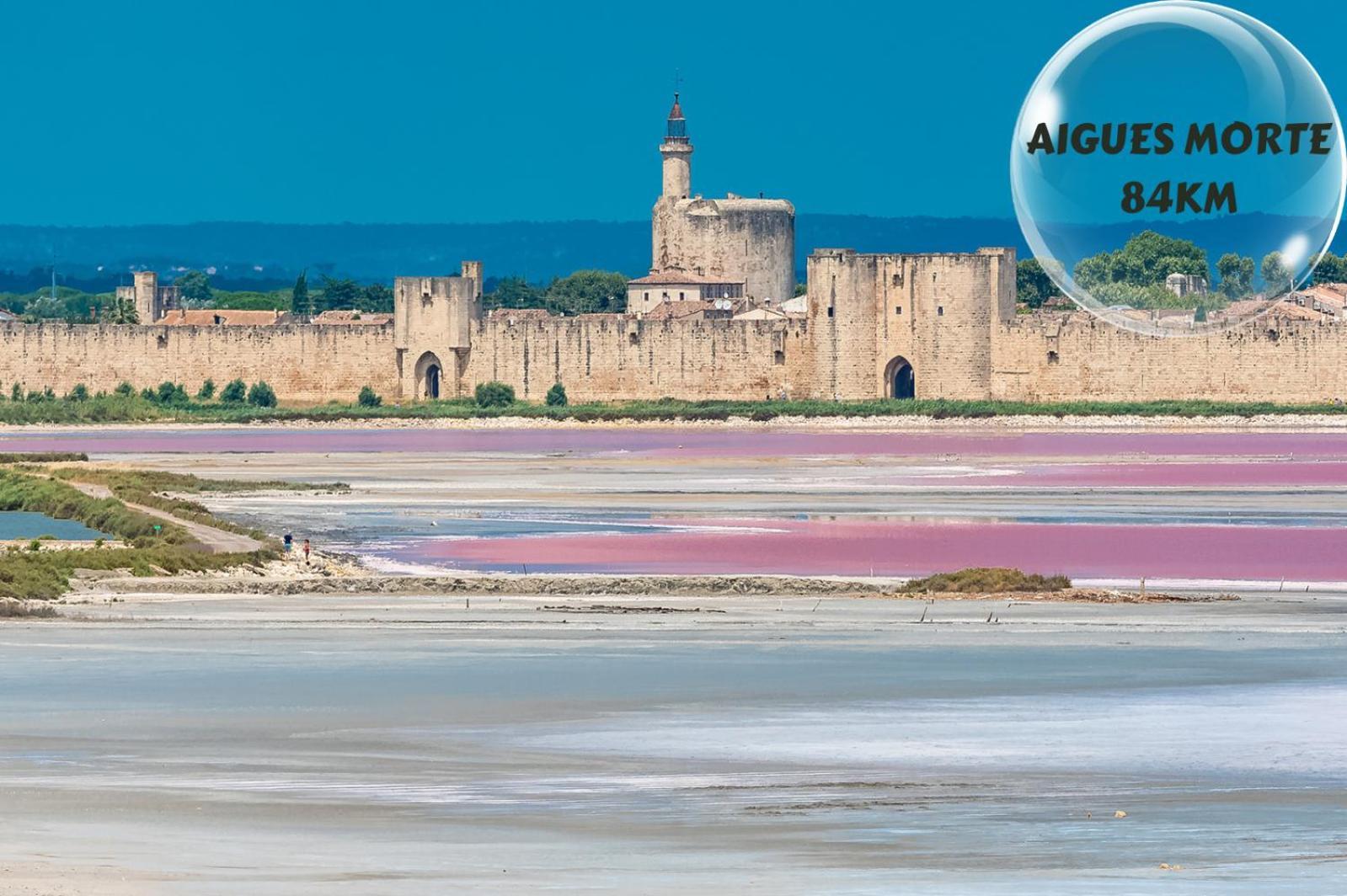 Le Cosy Du Gal, A 2 Pas Du Palais Des Papes Parking Gratuit Securise Apartamento Avinhão Exterior foto