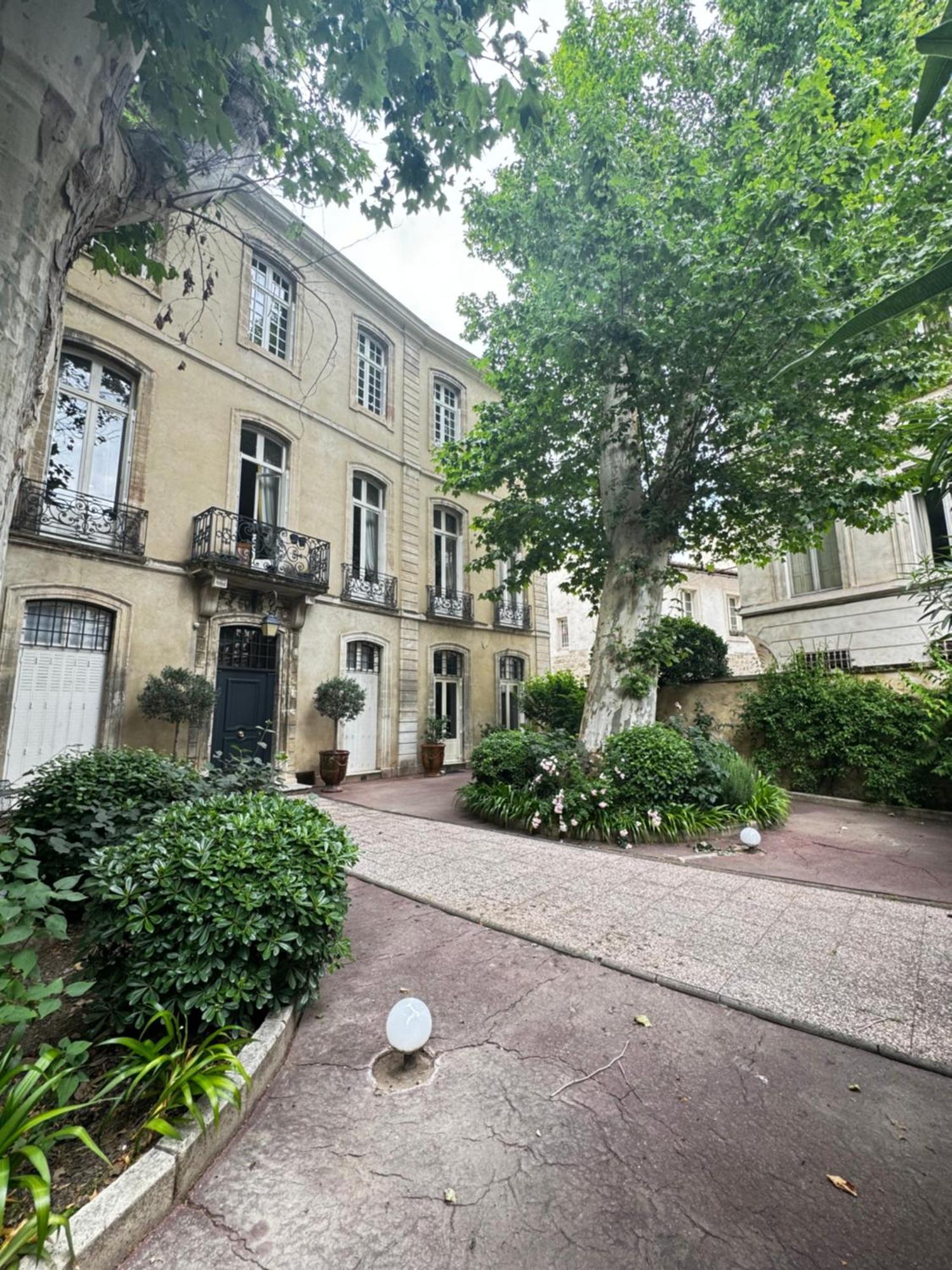 Le Cosy Du Gal, A 2 Pas Du Palais Des Papes Parking Gratuit Securise Apartamento Avinhão Exterior foto