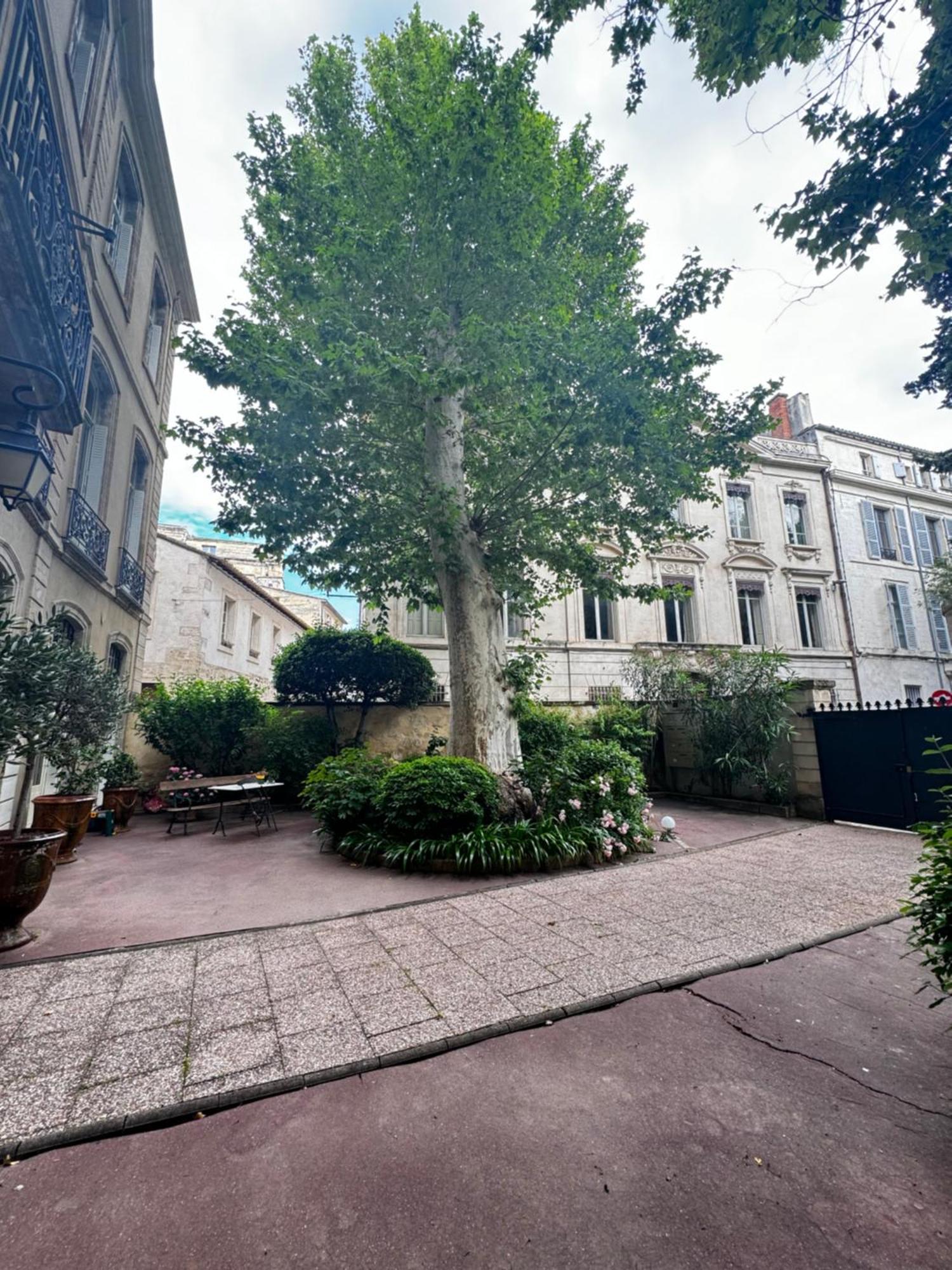 Le Cosy Du Gal, A 2 Pas Du Palais Des Papes Parking Gratuit Securise Apartamento Avinhão Exterior foto